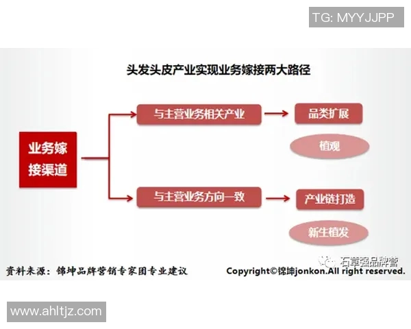康塞普森对决分析及其在现代体育中的影响与启示